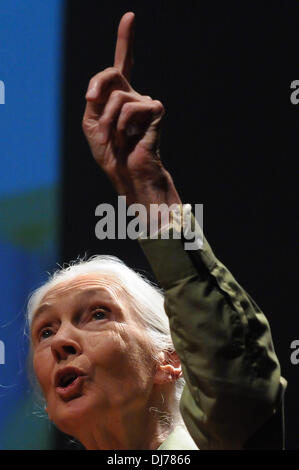 (131123) -- SANTIAGO, nov. 23, 2013 (Xinhua) -- Dott.ssa primatologa Jane Goodall, partecipa a una conferenza denominata "motivi di speranza", all'Università Cattolica del Cile a Santiago, capitale del Cile, su nov. 23, 2013. Jane Goodall ha dedicato la sua vita a studiare il comportamento degli scimpanzé in Africa e per promuovere stili di vita sustainables per il pianeta. Goodall sarà in visita in Cile fino a nov. 26 lo svolgimento di varie attività, secondo la stampa locale. (Xinhua/Jorge Villegas) (JP) (ce) Foto Stock