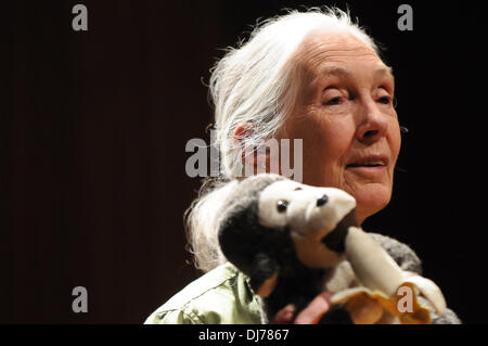 (131123) -- SANTIAGO, nov. 23, 2013 (Xinhua) -- Dott.ssa primatologa Jane Goodall, partecipa a una conferenza denominata "motivi di speranza", all'Università Cattolica del Cile a Santiago, capitale del Cile, su nov. 23, 2013. Jane Goodall ha dedicato la sua vita a studiare il comportamento degli scimpanzé in Africa e per promuovere stili di vita sustainables per il pianeta. Goodall sarà in visita in Cile fino a nov. 26 lo svolgimento di varie attività, secondo la stampa locale. (Xinhua/Jorge Villegas) (JP) (ce) Foto Stock