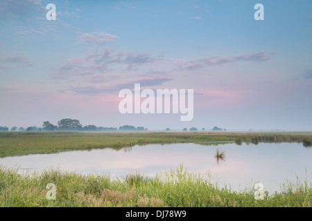 Estate pastello alba sul fiume, Onlanden, Drenthe, Paesi Bassi Foto Stock