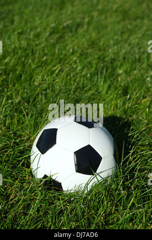 Classico bianco e nero palla calcio calcio si siede in una patch di sunny erba verde Foto Stock