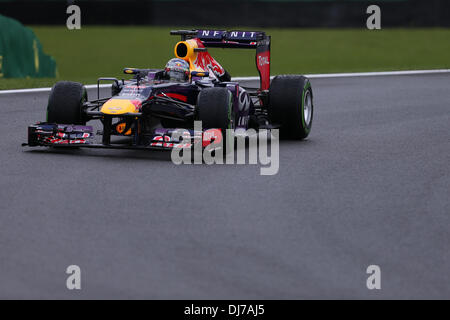 (131124) -- SAO PAULO, nov. 24, 2013 (Xinhua) -- Red Bull Racing driver Sebastian Vettel di Germania spinge la sua vettura durante la sessione di qualifiche del 2013 Formula Uno Gran Premio del Brasile sul circuito di Interlagos in Sao Paulo, Brasile, nov. 23, 2013. Sebastian Vettel si è classificato primo con 1 minuto 26 secondi 479. (Xinhua/Xu Zijian) Foto Stock