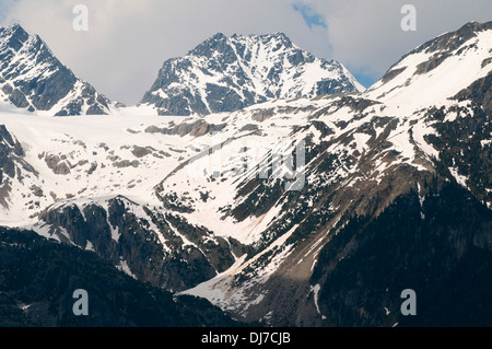 Eremita di montagna, Rogers Pass National Historic Site, il Parco Nazionale di Glacier, British Columbia, Canada Foto Stock