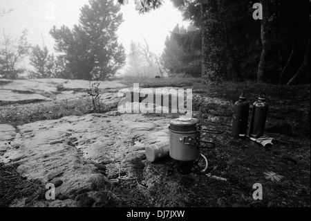 La cottura vicino Schliffkopf in caso di maltempo nord della Foresta Nera in Germania Foto Stock