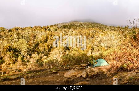 (131124) -- il Monte Kilimanjaro, nov. 24, 2013 (Xinhua) -- un escursionista si appoggia al Machame Camp in una elevazione di 3 mila metri sul percorso Machame del Kilimanjaro, nel nord della Tanzania, nov. 15, 2013. (Xinhua/Li Jing) (djj) Foto Stock