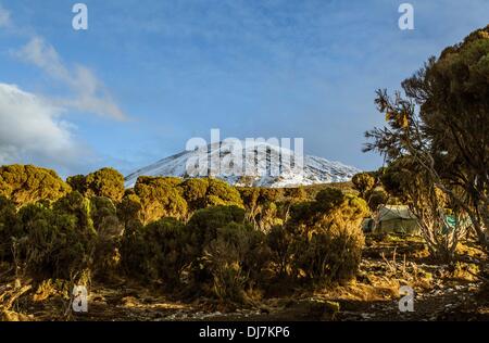 (131124) -- il Monte Kilimanjaro, nov. 24, 2013 (Xinhua) -- Foto scattata il 9 novembre 20, 2013 mostra il picco Uhuru del Kilimanjaro, nel nord della Tanzania. (Xinhua/Li Jing) (djj) Foto Stock