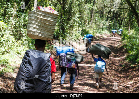 (131124) -- il Monte Kilimanjaro, nov. 24, 2013 (Xinhua) -- Porters trek con merci sulla rotta Machame del Kilimanjaro, nel nord della Tanzania, nov. 15, 2013. (Xinhua/Li Jing) (djj) Foto Stock