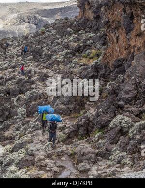 (131124) -- il Monte Kilimanjaro, nov. 24, 2013 (Xinhua) -- Porters trek sulla Machame Route del Kilimanjaro, nel nord della Tanzania, nov. 18, 2013. (Xinhua/Li Jing) (djj) Foto Stock