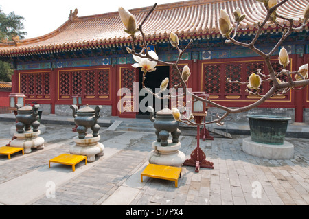 Terra imperiale Dio culto (Casa Di Tan e culturale reliquia storica sala esposizioni) nel tempio di terra a Pechino in Cina Foto Stock