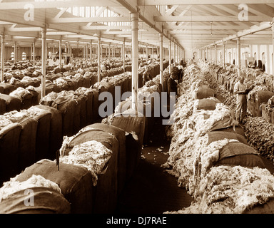 Lo showroom di lana Sydney Australia New South Wales NSW probabilmente 1920s Foto Stock