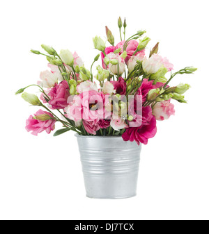 Eustoma rosa fiori in vaso Foto Stock