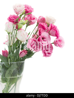 Eustoma rosa fiori in vaso Foto Stock