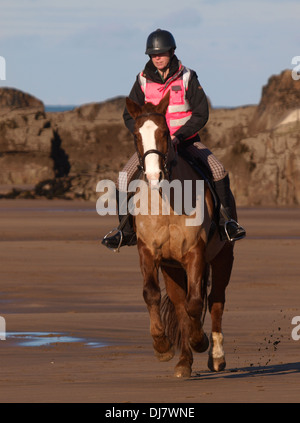 Passeggiate a cavallo sulla spiaggia, Bude, Cornwall, Regno Unito Foto Stock