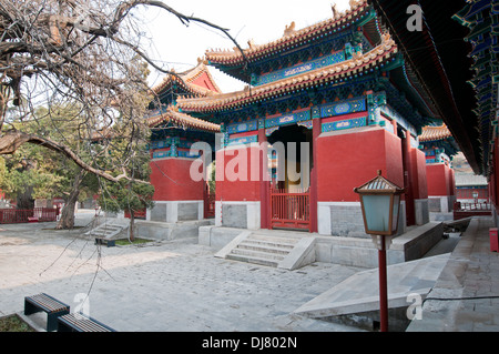 Lapide padiglioni del Tempio di Confucio al Guozijian Street a Pechino in Cina Foto Stock