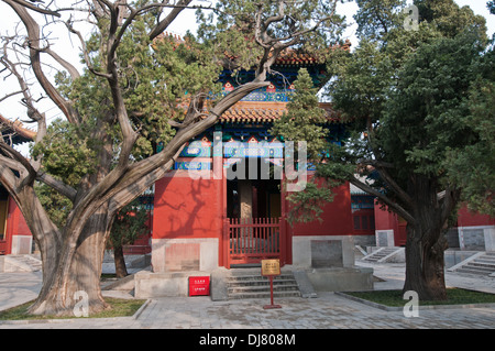 Un piccolo padiglione con pietra all'interno della compressa nel Tempio di Confucio al Guozijian Street a Pechino in Cina Foto Stock