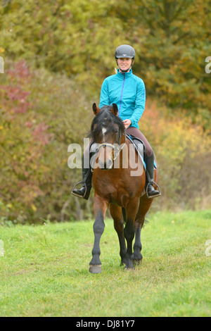 Giovane pilota sul dorso di un pony Connemara stallone di equitazione in autunno Foto Stock