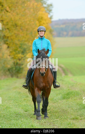Giovane pilota sul dorso di un pony Connemara stallone di equitazione in autunno Foto Stock