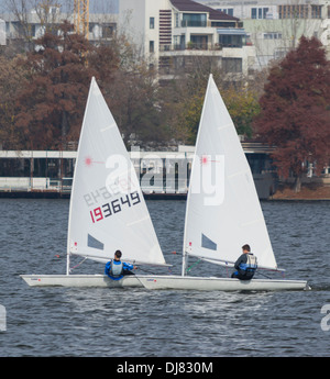 Laser Standard barche a vela vela al mattino presto sul lago Herastrau Bucarest, Romania Foto Stock