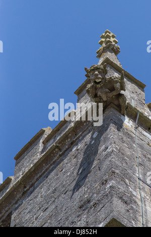 Gargoyle su San Edwards campanile di una chiesa in Corfe Castle, Dorset, Inghilterra Foto Stock