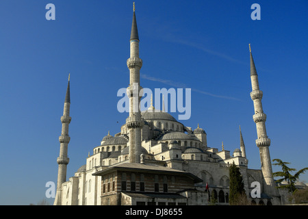 La Moschea Suleymanie (Moschea Blu) Istanbul, Turchia Foto Stock