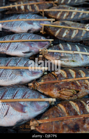 Fresco Fiume Mekong pesce in un alimento stallo in Luang Prabang Foto Stock