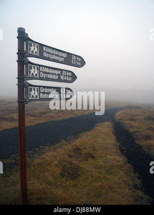 Sentieri escursionistici nella nebbia nel molle geotermica area di Hengill, Islanda Foto Stock