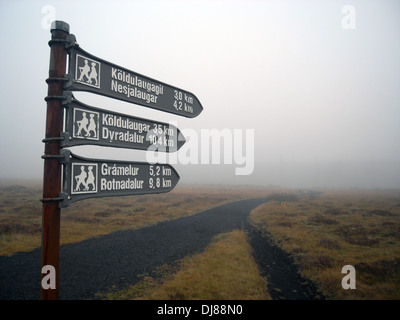 Sentieri escursionistici nella nebbia nel molle geotermica area di Hengill, Islanda Foto Stock