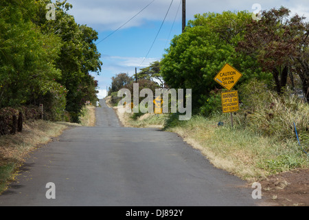 L'Hana autostrada passando attraverso un piccolo borgo agricolo lungo la costa sud di Maui Foto Stock