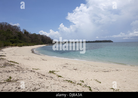 Mare delle Andamane, Ross e smith Island Isole Andamane, India Foto Stock