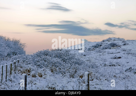 Un pupazzo di neve nel paesaggio Berkheide, una riserva naturale, Katwijk aan Zee, South Holland, Paesi Bassi. Foto Stock