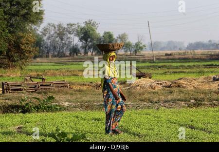 Jammu e Kashmir . 25 Nov, 2013. Una donna entra in un campo a Suchetgarh villaggio vicino al confine internazionale tra India e Pakistan, circa 32 chilometri da Jammu, capitale invernale di Indiano-Kashmir controllata, nov. 25, 2013. Il cessate il fuoco lungo la linea di controllo (LOC) e confine internazionale tra India e Pakistan dovrebbero raggiungere dieci anni su nov. 26, 2013. Nuova Delhi e Islamabad nel 2003 hanno concordato di rispettare il cessate il fuoco lungo la frontiera internazionale e LoC in Kashmir. Credito: Xinhua/Alamy Live News Foto Stock