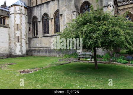 Signora cappella, Chiesa Cattedrale di St Andrews in pozzetti, pozzetti Città, Englands più piccola città, Contea di Somerset, Inghilterra, Regno Unito Foto Stock