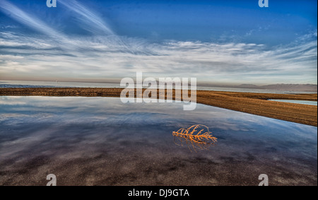 Un raffinato stile arte immagine del Grande Lago Salato nello Utah Foto Stock