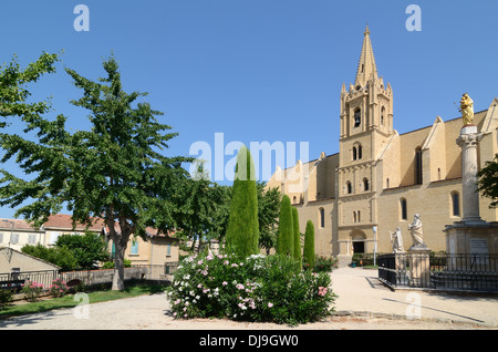 Chiesa di Collégiale Saint Laurent (Tomba di Nostradamus) e Piazza Jean XXIII Salon de Provence o Salon-de-Provence Provenza Francia Foto Stock