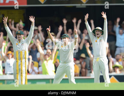 Brisbane, Australia. 24 Novembre, 2013. MICHAEL CLARKE e team celebrano il loro vincere il Giorno 4 - Primo test di ceneri a Gabba a Brisbane. Credito: Azione Sport Plus/Alamy Live News Foto Stock