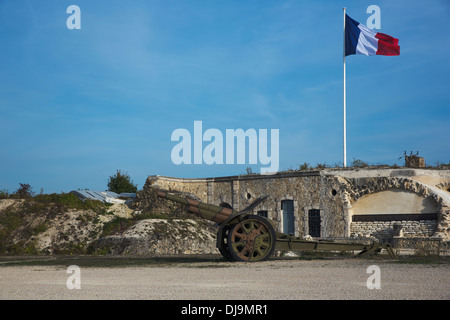 Cannone di fronte a Fort de la Pompelle Foto Stock