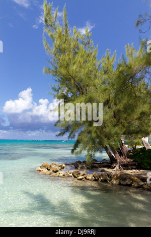 Il Rum Point Beach sull'isola di Grand Cayman Foto Stock