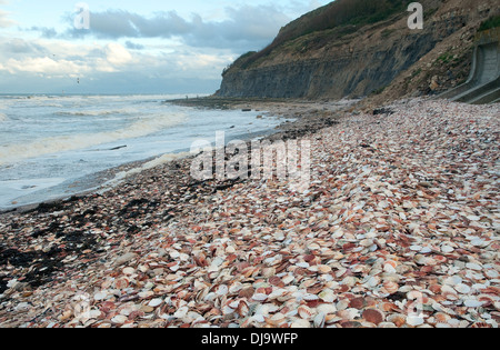 Port-en-Bessin-huppain, Normandia, Francia Foto Stock