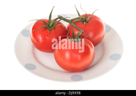Piastra di tre vite cresciuta mature succose materie Pomodori, isolato su bianco con n. di persone Foto Stock