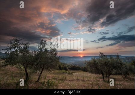 Un drammatico cielo sopra le colline toscane in Italia Foto Stock