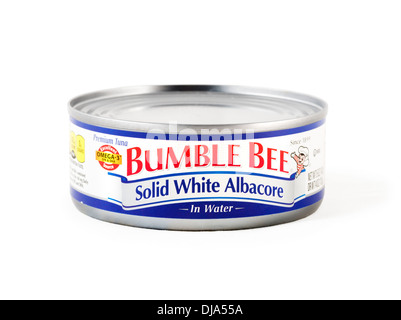 Lo stagno di Bumble Bee solido bianco Tonno Bianco o alalunga, STATI UNITI D'AMERICA Foto Stock