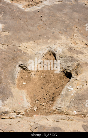 Dinosauro via accanto al fiume Purgatoire, Picketwire Canyonlands, Comanche praterie nazionale a sud di La Junta, Colorado. Foto Stock