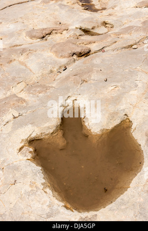 Dinosauro via accanto al fiume Purgatoire, Picketwire Canyonlands, Comanche praterie nazionale a sud di La Junta, Colorado. Foto Stock