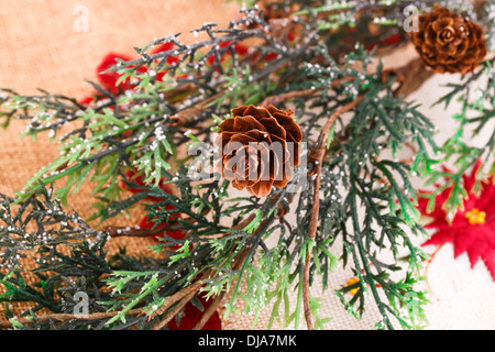 Albero di natale ramo verde con cono closeup immagine. Foto Stock