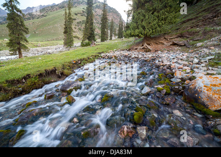 Incredibile la molla nel Tien Shan montagne Foto Stock