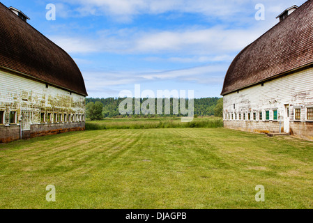 Vecchi fienili in agriturismo, Olympia, Washington, Stati Uniti Foto Stock