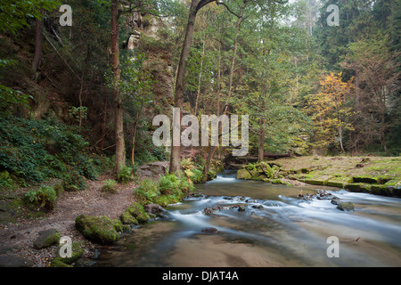 Rapids che scorre lungo la lussureggiante foresta Foto Stock