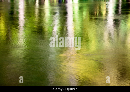 Soleggiato tronchi d albero riflessa nel fiume Nidd Nidd Gorge vicino a Knaresborough North Yorkshire, Inghilterra Foto Stock
