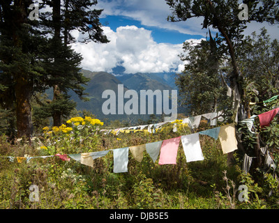 Il Bhutan, Phobjika,, Pele, La, pass, bandiere di preghiera e le montagne circostanti Foto Stock