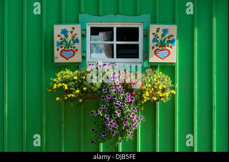 Finestra con persiane colorate e fioriera sul verde baita in legno, il lago di Starnberg, Starnberg, Alta Baviera, Baviera, Germania Foto Stock