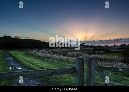 Tramonto sul fiume Roach all incrocio di ancoraggio Foto Stock